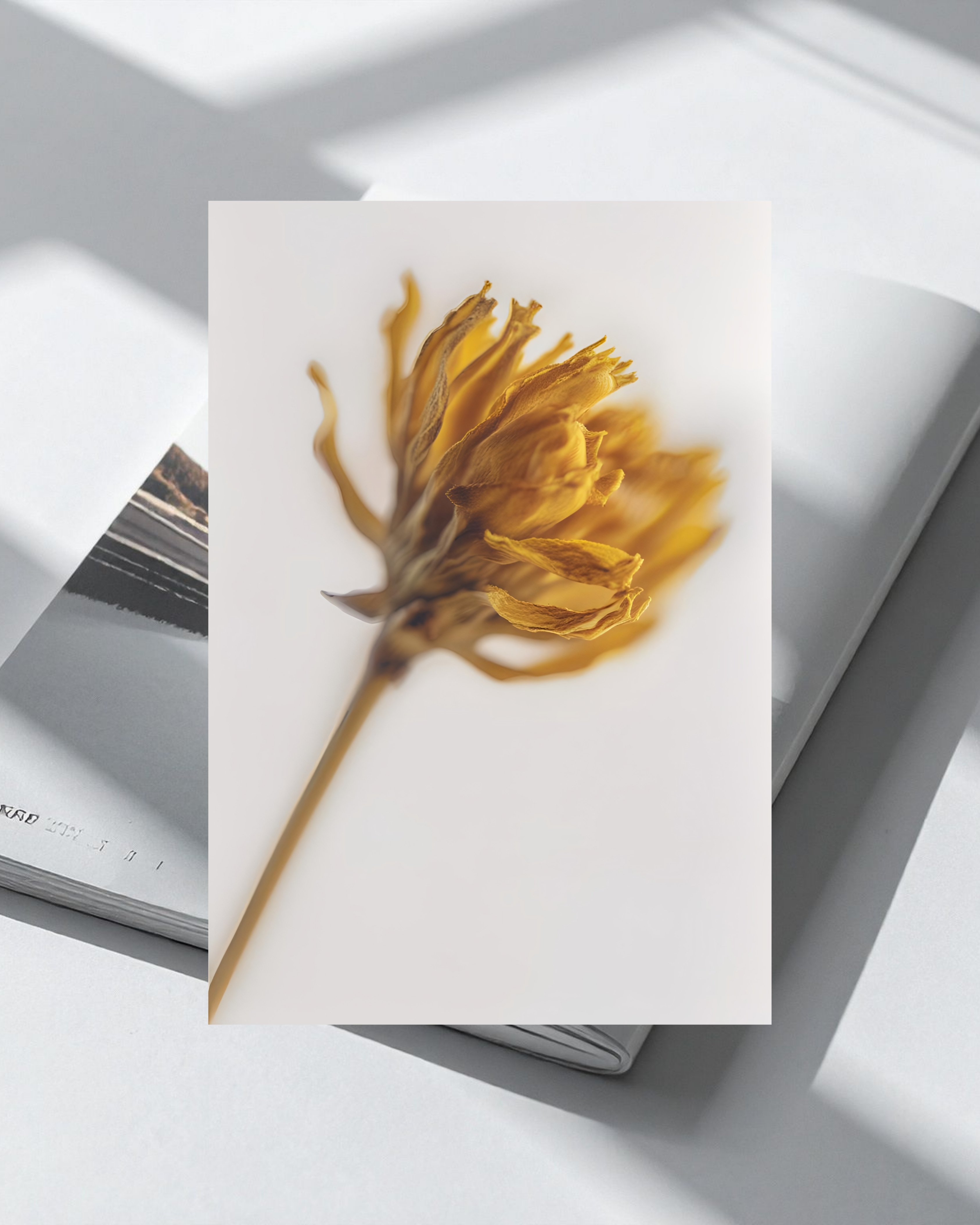 Personalised EBook